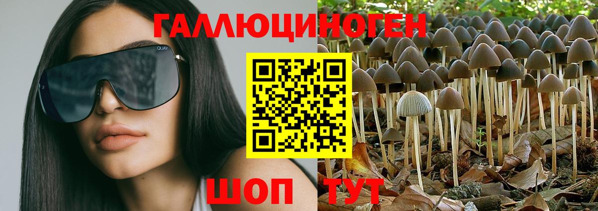 Псилоцибиновые грибы мухоморы Орехово-Зуево